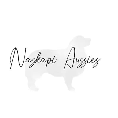Naskapi Aussies