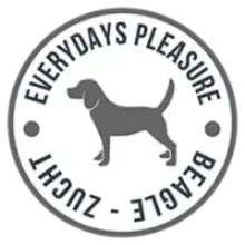 Everydays Pleasure cover