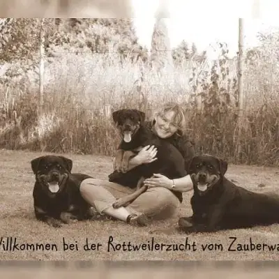 vom Zauberwald cover