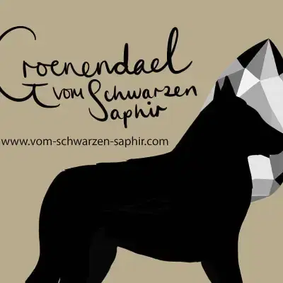 Vom Schwarzen Saphir cover