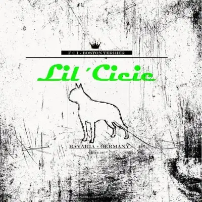 Lil’Cicie cover