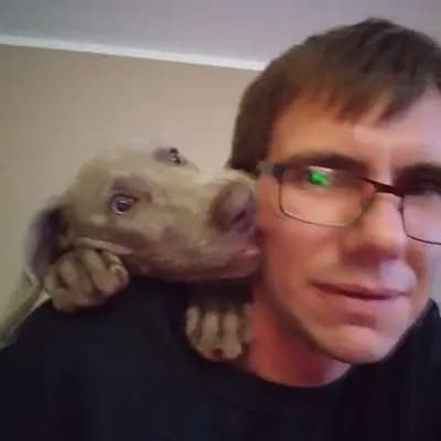 Weimaraner from Spirit of Eywa