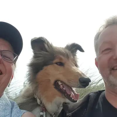 Collies Of True Fellow