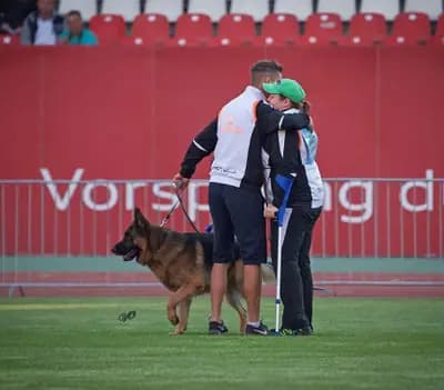 D-Wurf Rüde – Deutscher Schäferhund Welpe, Nordrhein-Westfalen, Allevato da Schäferhunde vom Haus Nesgen