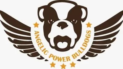 Angelic Power Bulldogs und vom Yangbajain-Tal