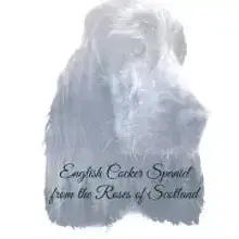 from the Roses of Scotland cover