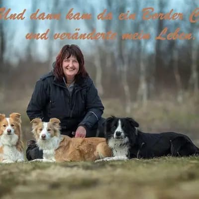 Border Collies Charming-Souls-on-Paws