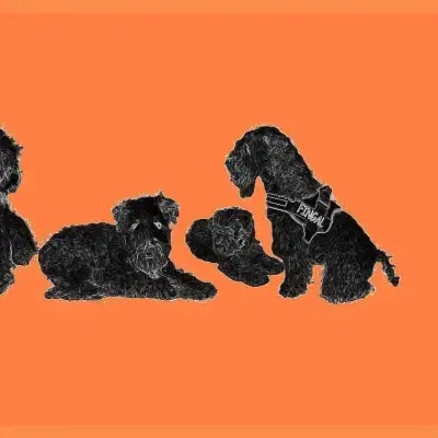 Charming Wheaten cover