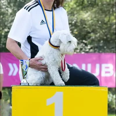 Ulrike