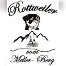 vom Meller Berg cover