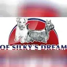 of Silky's Dream cover