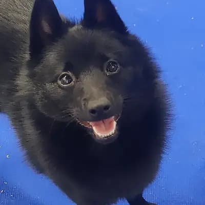 Winnie