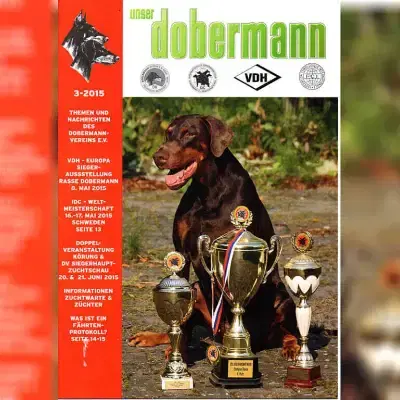 von Kontessina cover