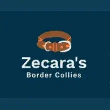 Zecara’s cover