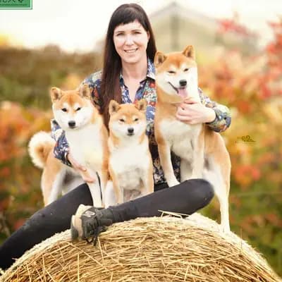 HANABI‘S Shibas
