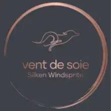 du Vent de Soie cover
