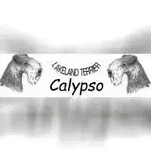 Calypso cover
