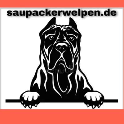 Saupackerwelpen
