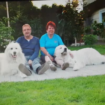 Pyrenaeenberghund von den Drei Spreequellen
