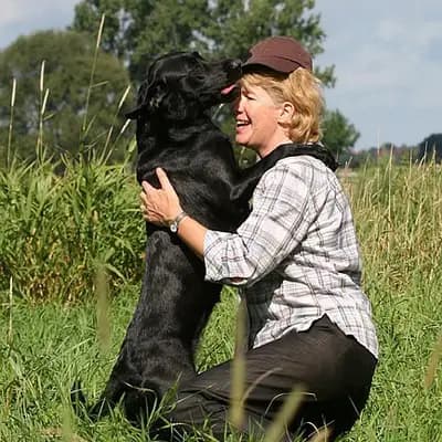 Aldagessem's Labradors