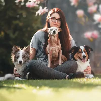 Beyond Borders Border Collies