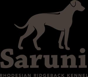 Saruni