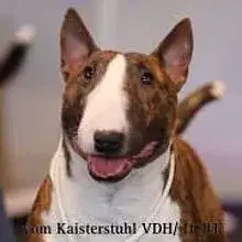 vom Kaiserstuhl cover