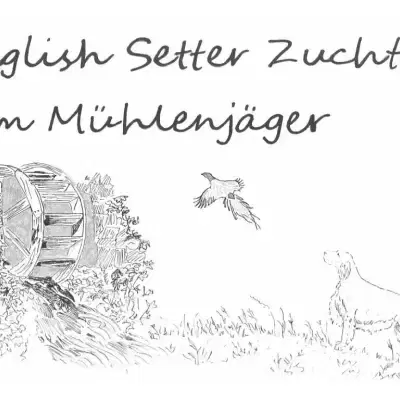 vom Mühlenjäger cover