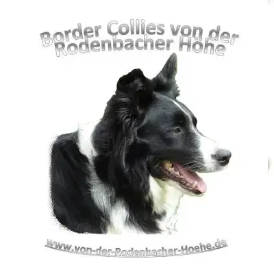 von der Rodenbacher Höhe cover