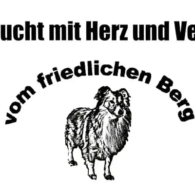 Rüde 3 – Shetland Sheepdog Welpe, Baden-Württemberg, Wychowany przez Hundezucht vom friedlichen Berg