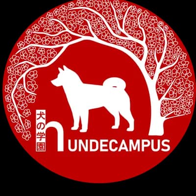 Shiba Inu vom hundecampus