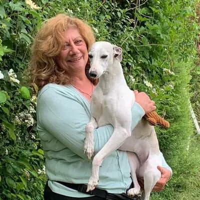 Whippets of Poet‘s Corner