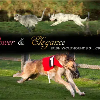 Power & Elegance cover