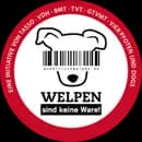 K-Wurf – Tibet Teriyeri Wurf, Niedersachsen, Yetiştirildi von Rmi.lam Khyi