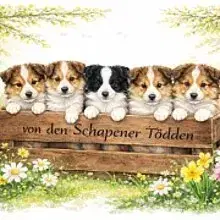 von den Schapener Tödden cover