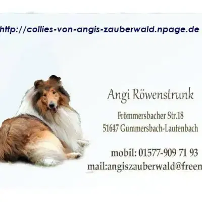 von Angi’s Zauberwald cover