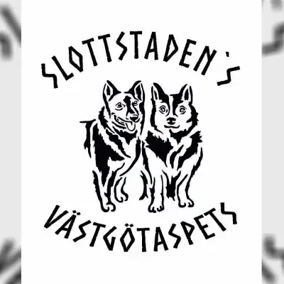 Slottstaden’s cover