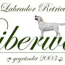 vom Biberwald cover