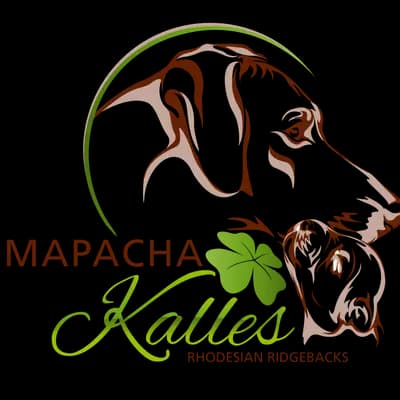 Mapacha Kalles Rhodesian Ridgeback