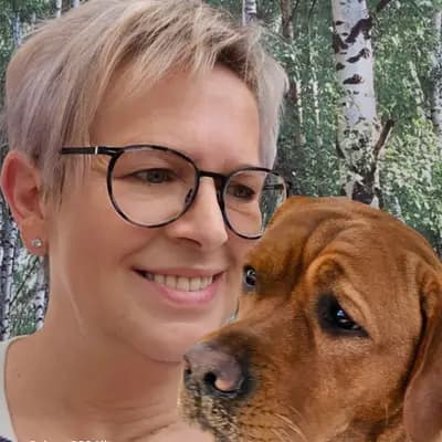 Labrador-Körzucht vom Odenwald mit viel Herz und Sachverstand
