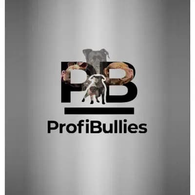 ProfiBullies
