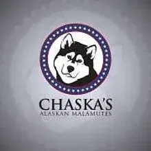 Chaska’s cover