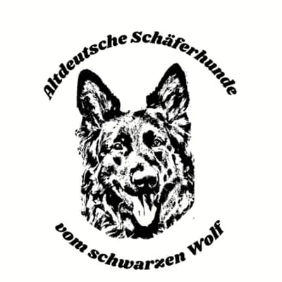 Altdeutsche Schäferhunde vom schwarzen Wolf