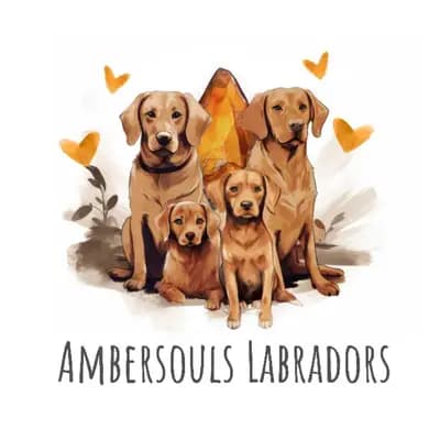 Ambersouls