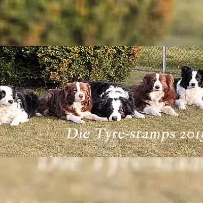 a leader from the tyre-stamp cover