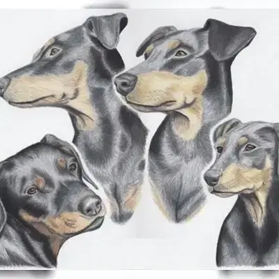 von der Schwalmaue cover
