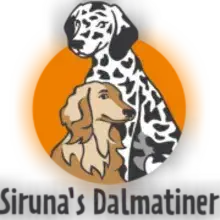 Siruna’s cover