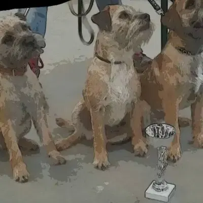 Little Big Dogs cover