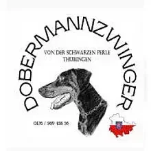 von der schwarzen Perle Thüringen cover