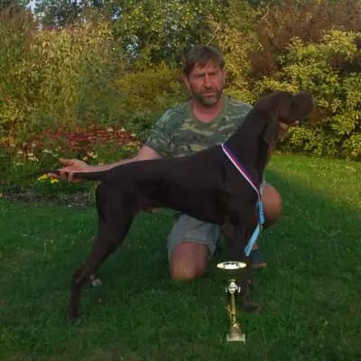 الأب: Dorien ze Žárovské tkalcovny